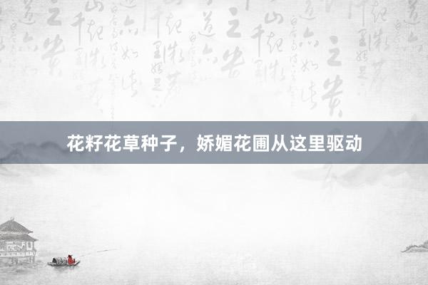 花籽花草种子，娇媚花圃从这里驱动
