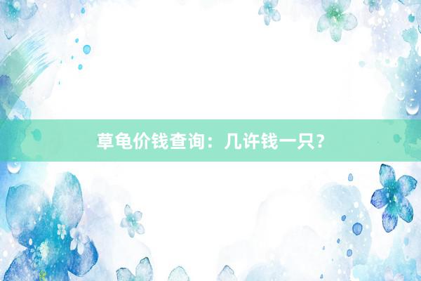 草龟价钱查询：几许钱一只？